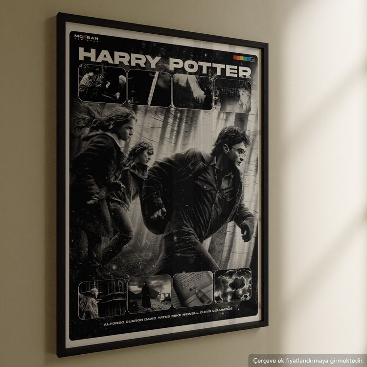 Harry Potter