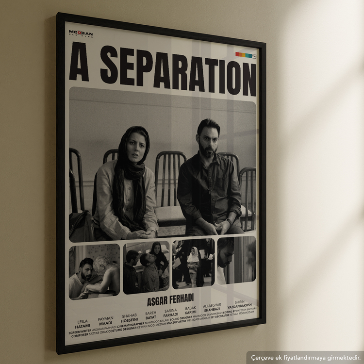 A Separation (Bir Ayrılık)