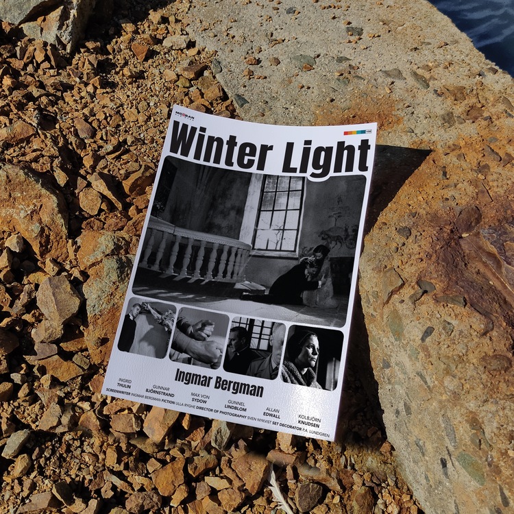 Winter Light (Kış Işığı)