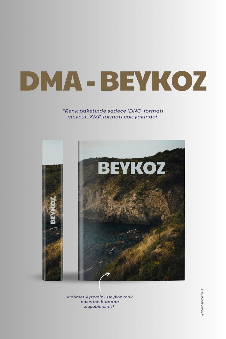 MEHMET AYTEMİZ - BEYKOZ