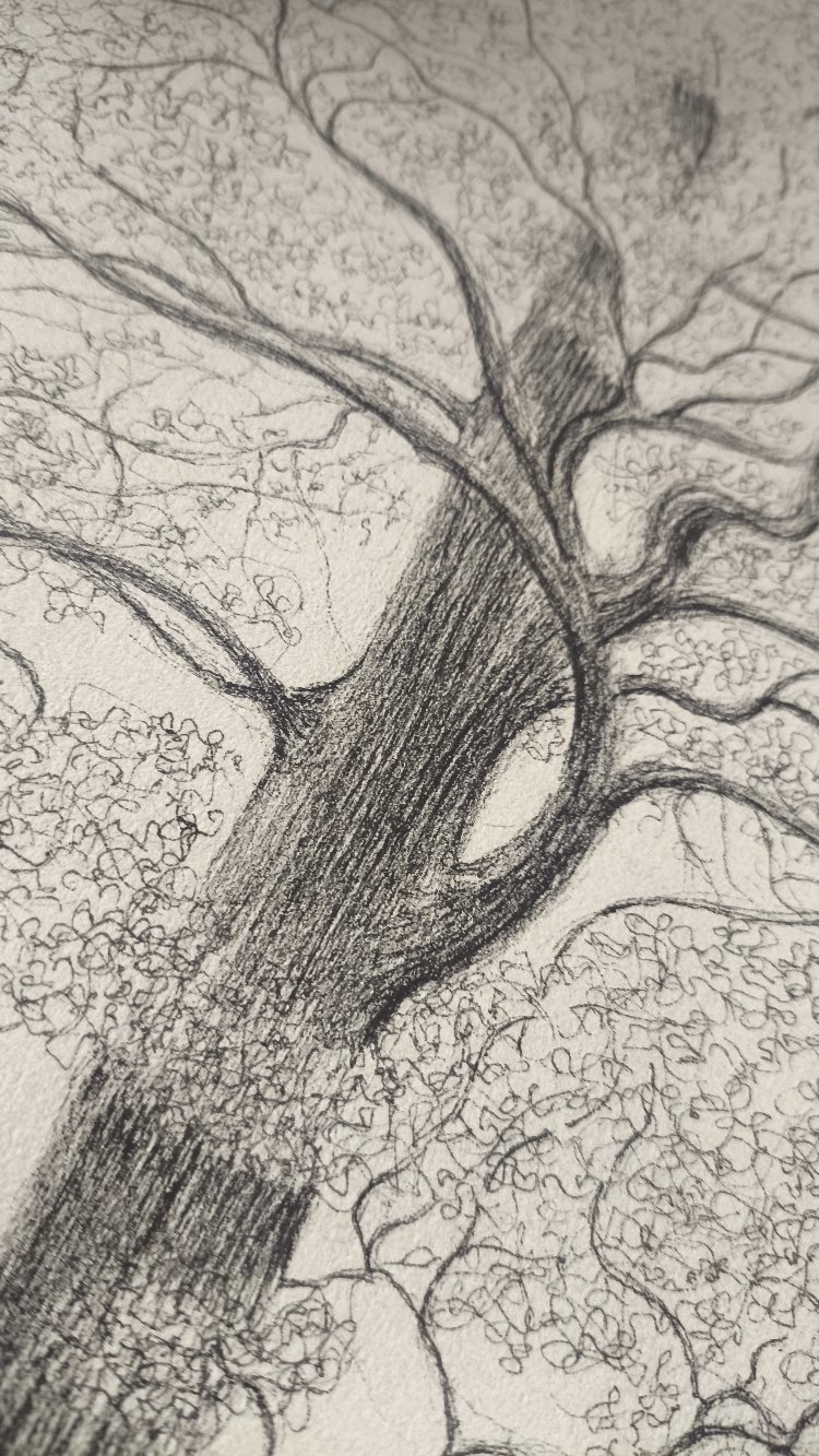 The Tree