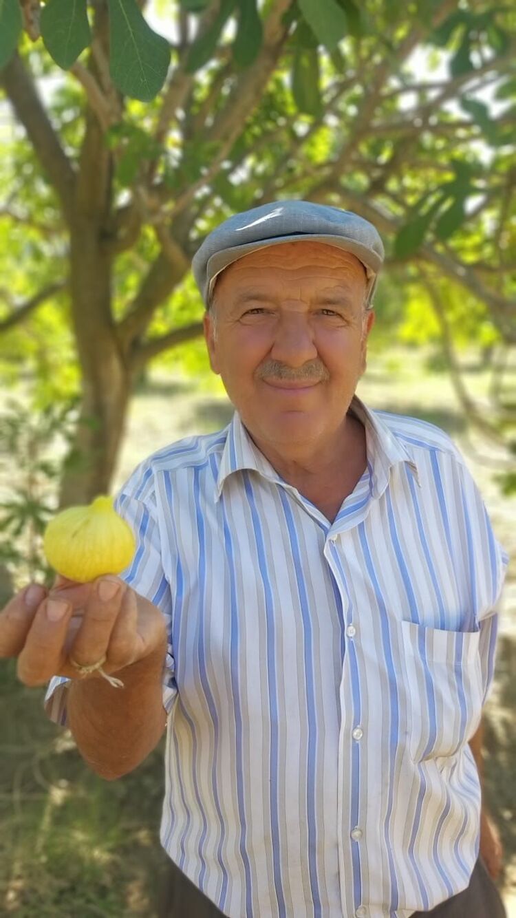 5 KİLO BÜYÜK BOY ÖZEL SEÇİM SÜZME İNCİR