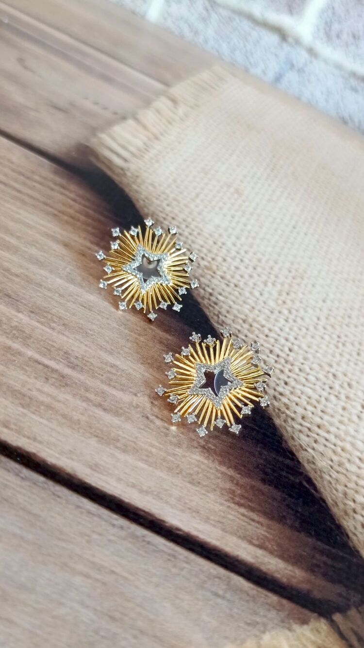 İki Renkli Yıldız Küpe