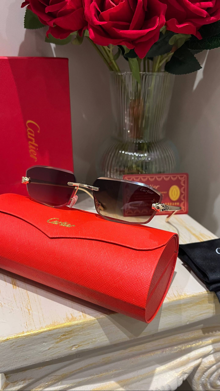 Cartier C63 Silver 