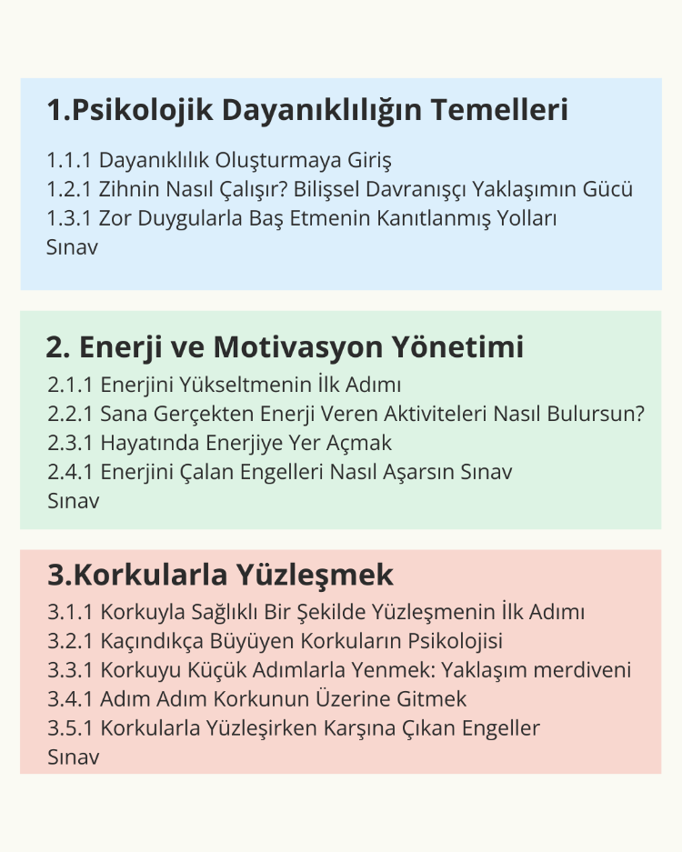 Psikolojik Dayanıklılık Online Programı