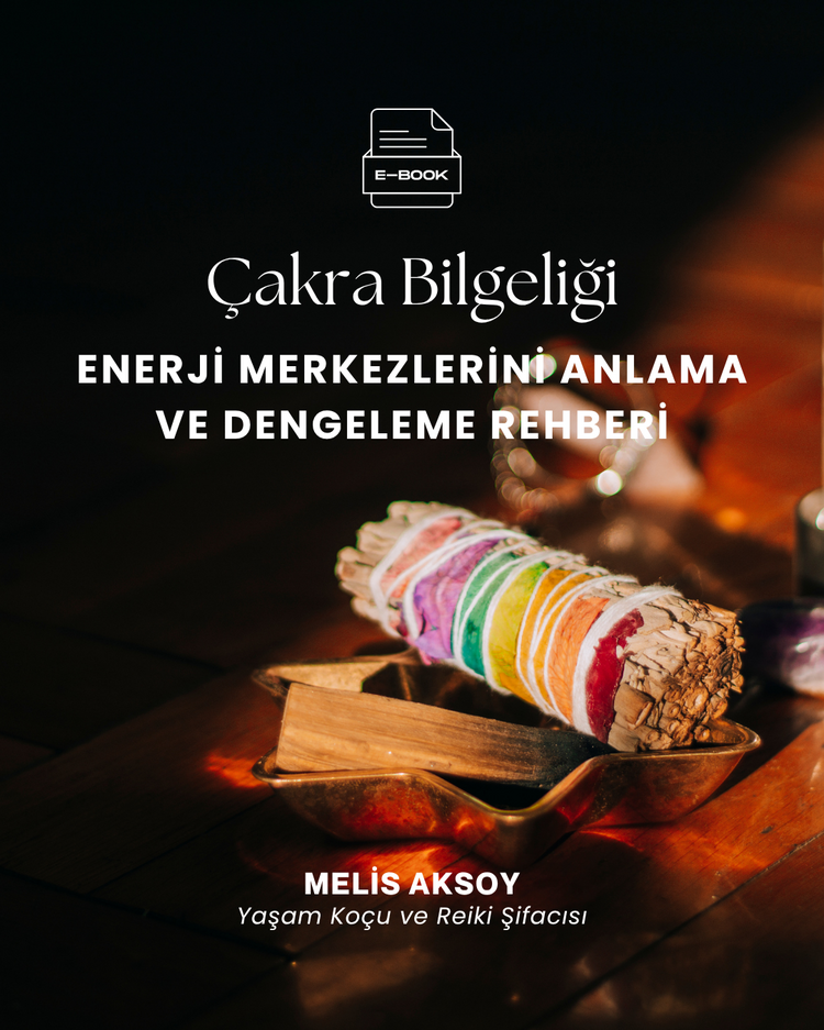 Çakra Bilgeliği (e-kitap)