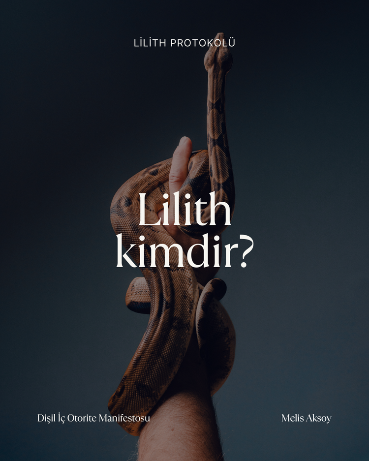 Lilith Protokolü (e-kitap)