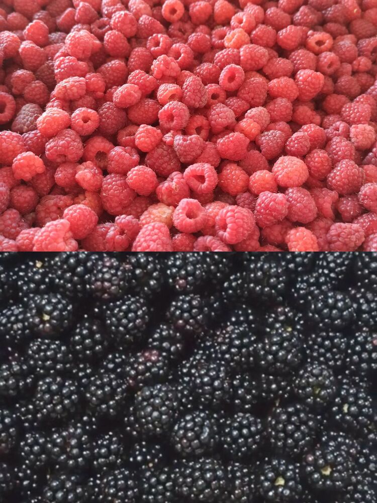 Berry Mix