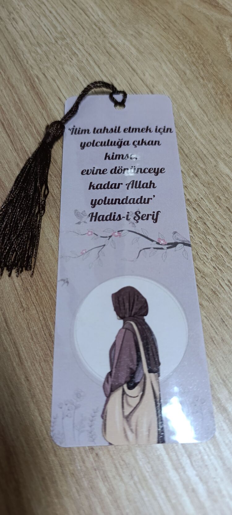 ilim yolcusu ayraç