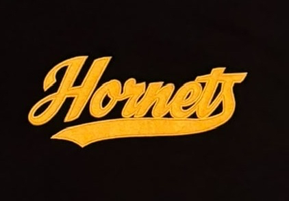 Hornets Cursive T-shirt 