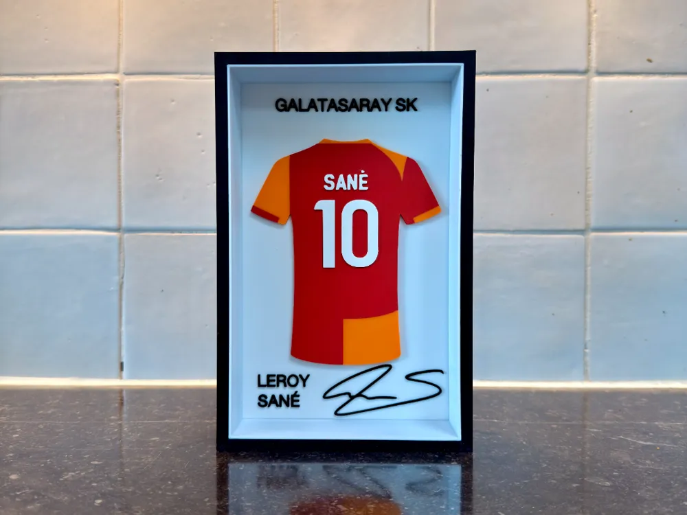 Sane Forma Çerçevesi