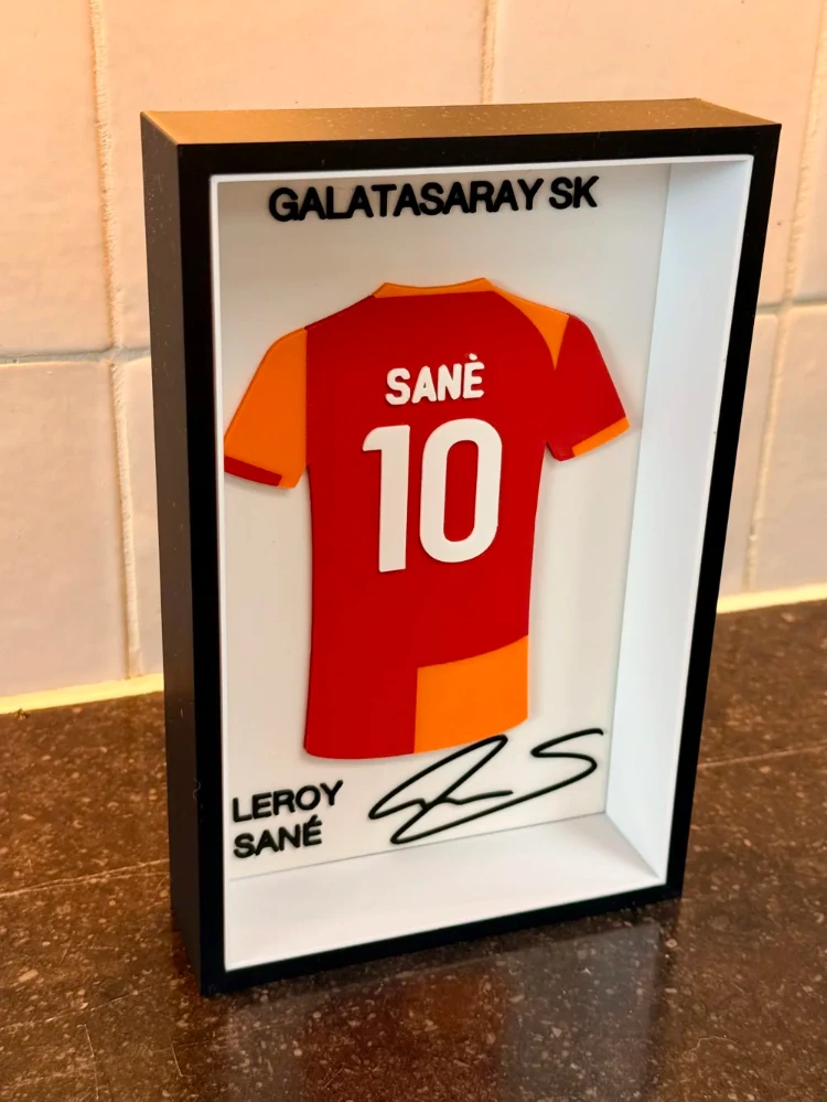 Sane Forma Çerçevesi