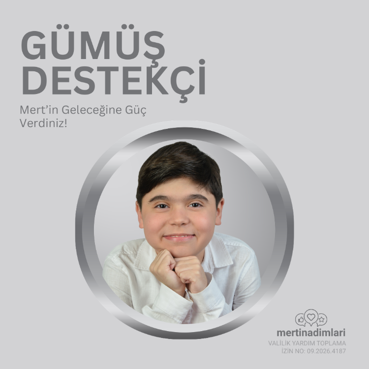 Gümüş Destekçi