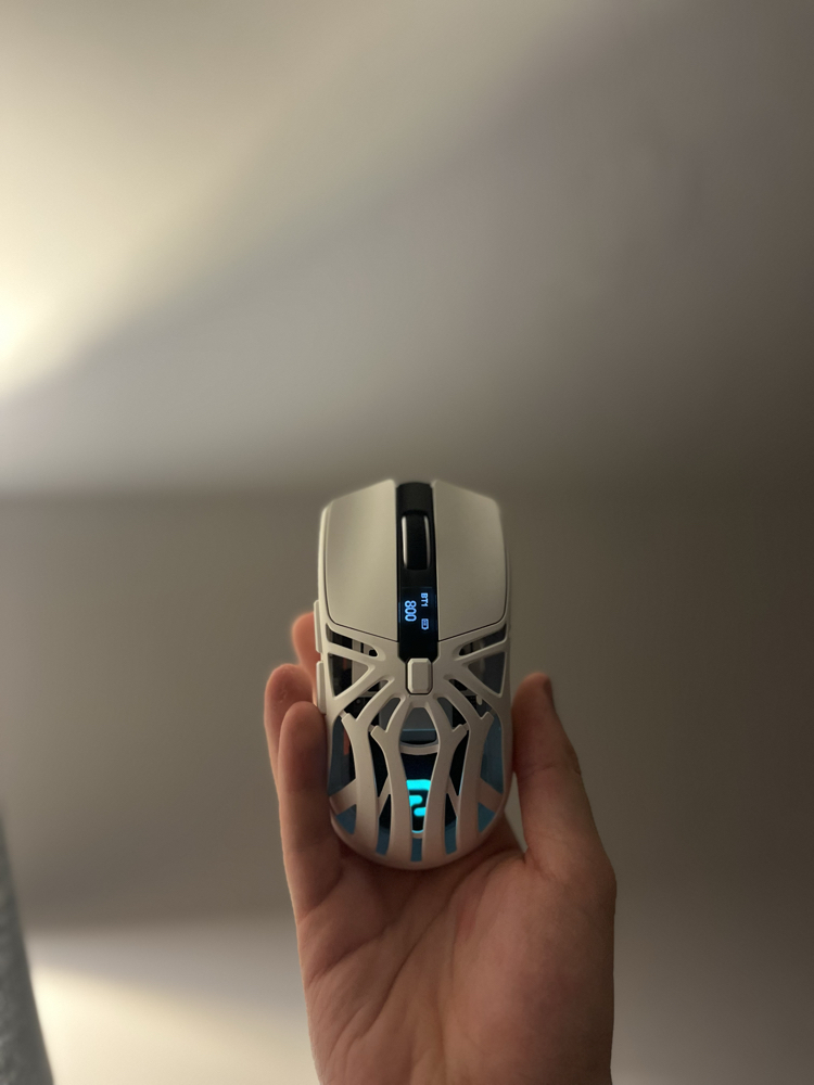 Aymes77 mouse 1000 hz