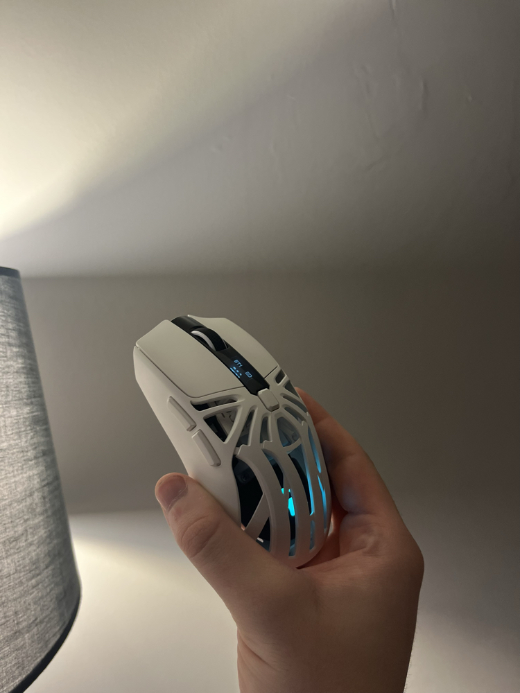 Aymes77 mouse 1000 hz
