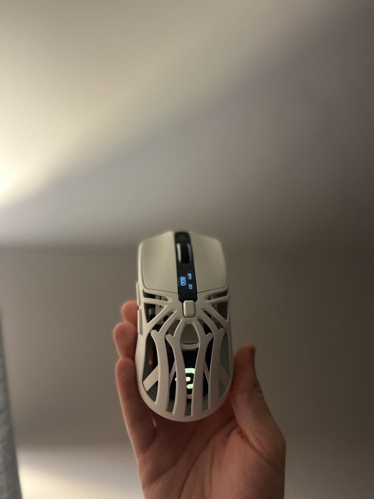 Aymes77 mouse 1000 hz