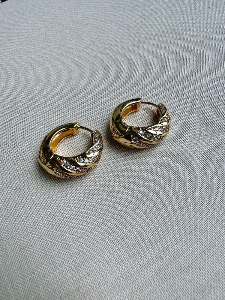 Taşlı Halka Gold Küpe