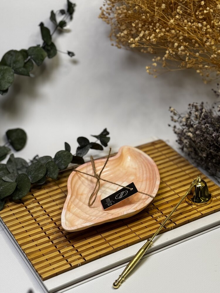 Deniz Kabuğu Tray's