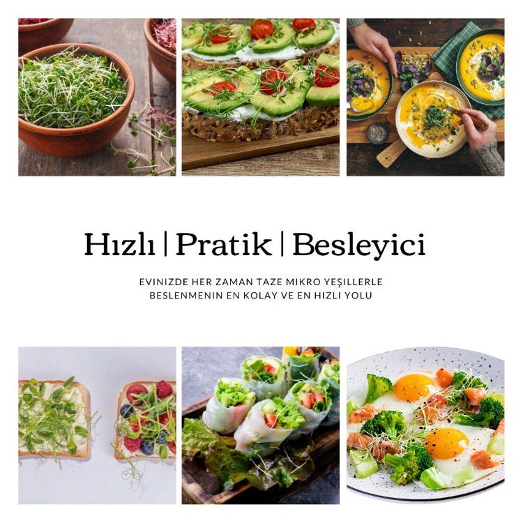 Pak Choi & Wasabi Mikro Filiz Yetiştirme Seti