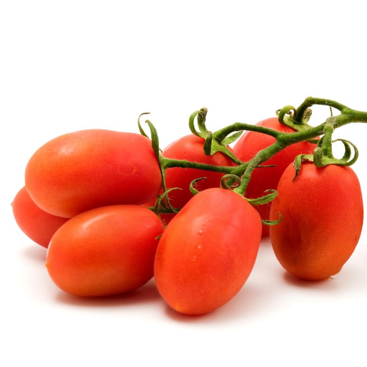 Tomato Mix Tohum Çimlendirme Seti
