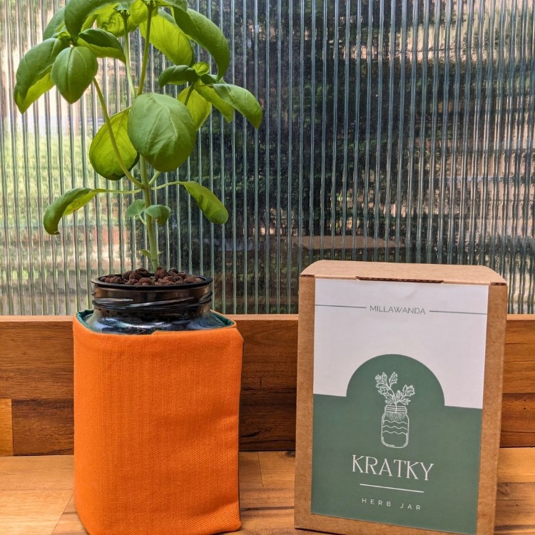 Millawanda Kratky Topraksız Mutfak Saksısı