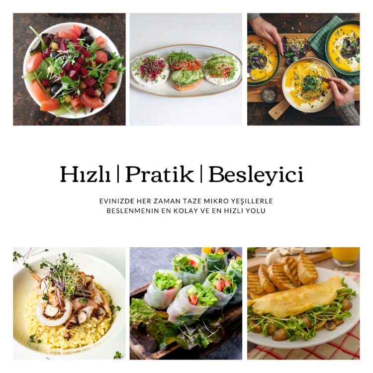 Brokoli & Turp Mikro Filiz Yetiştirme Seti