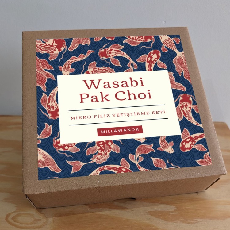 Pak Choi & Wasabi Mikro Filiz Yetiştirme Seti