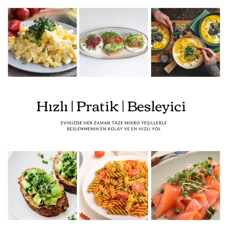 Salad Mix Mikro Filiz Yetiştirme Seti