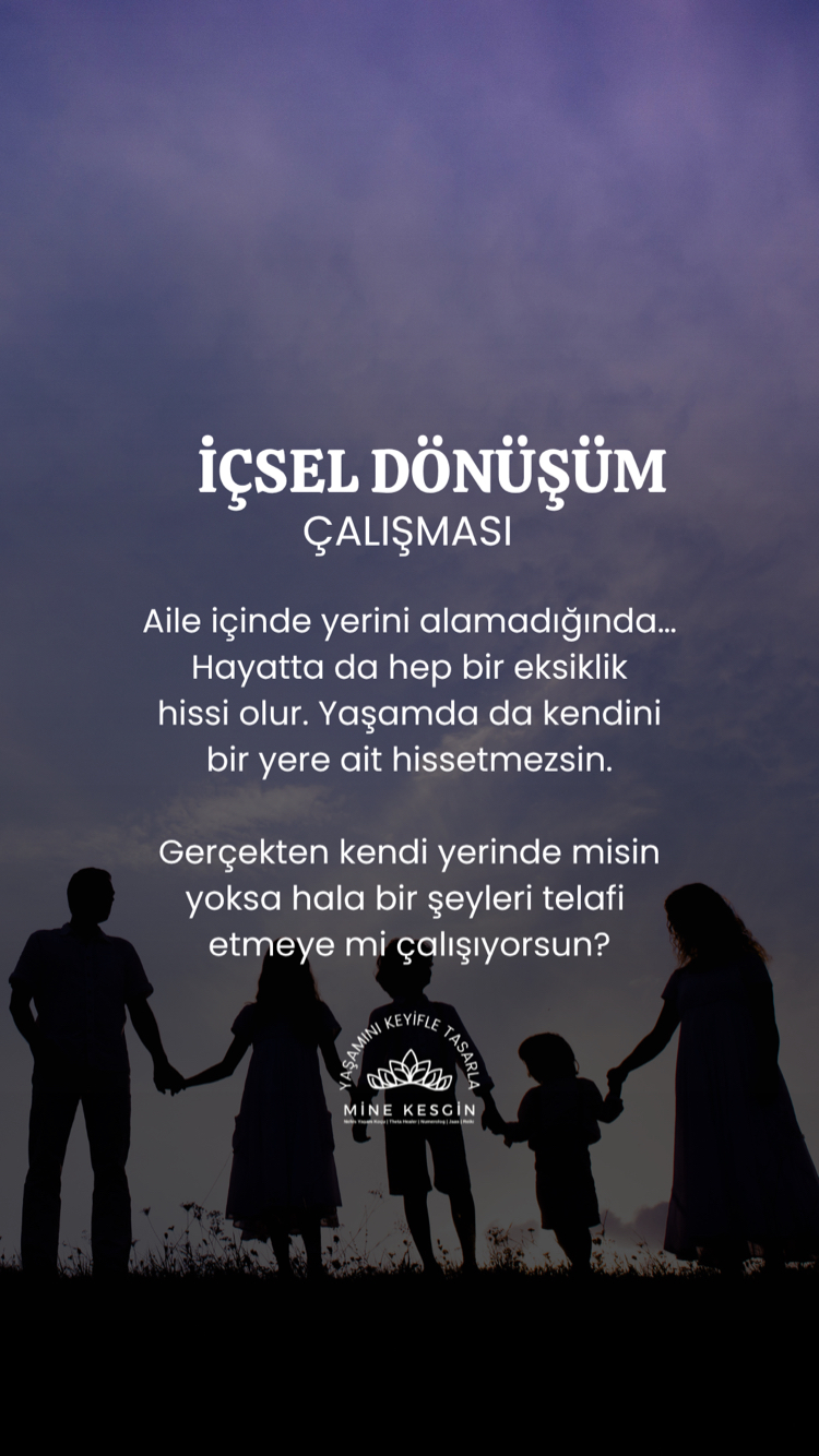 İÇSEL DÖNÜŞÜM ALANI