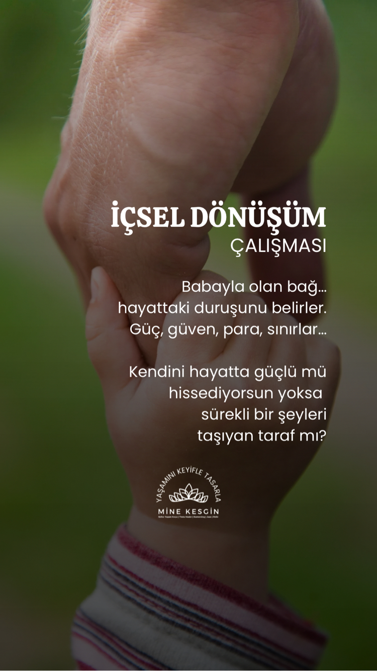 İÇSEL DÖNÜŞÜM ALANI