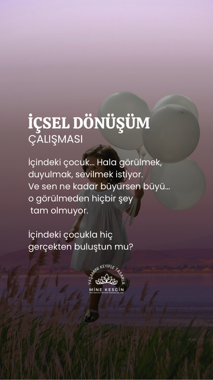 İÇSEL DÖNÜŞÜM ALANI