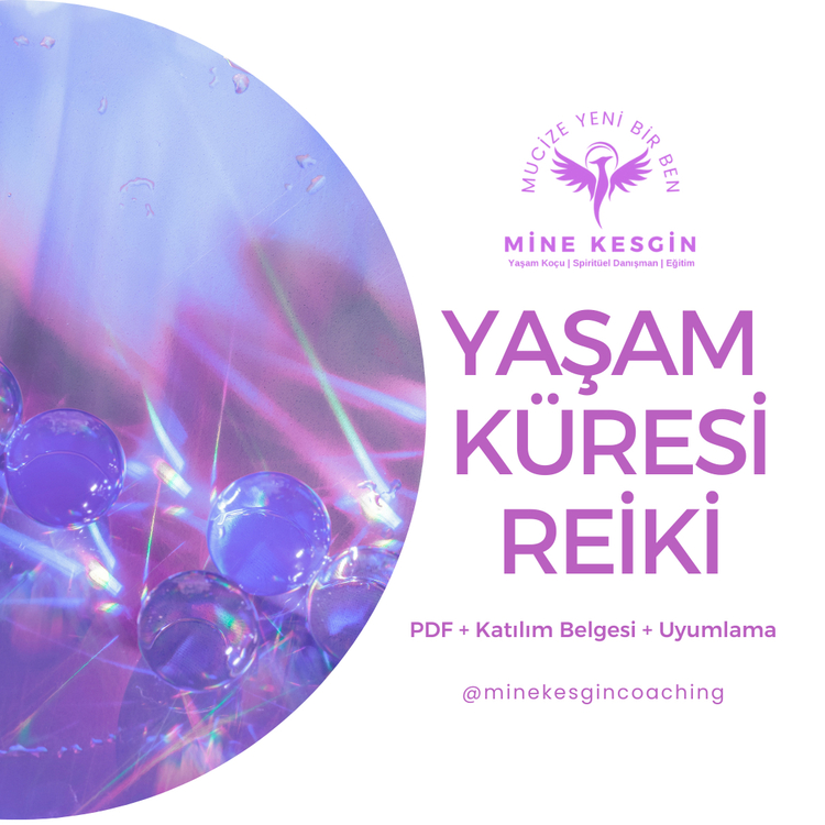YAŞAM KÜRESİ REİKİ