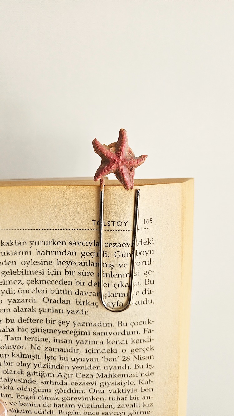 DENİZ YILDIZI KİTAP AYRACI