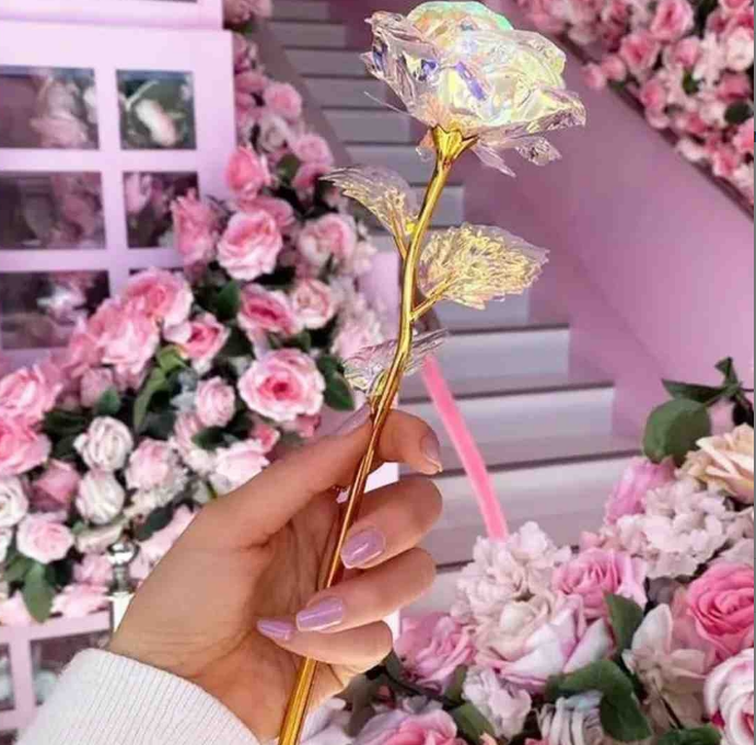 Kristal Gül Sonsuzluk Gülü Yılbaşı Çiçeği sevgililer günü çiçeği