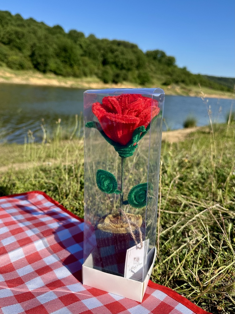 Kutuda Köklü Aşk