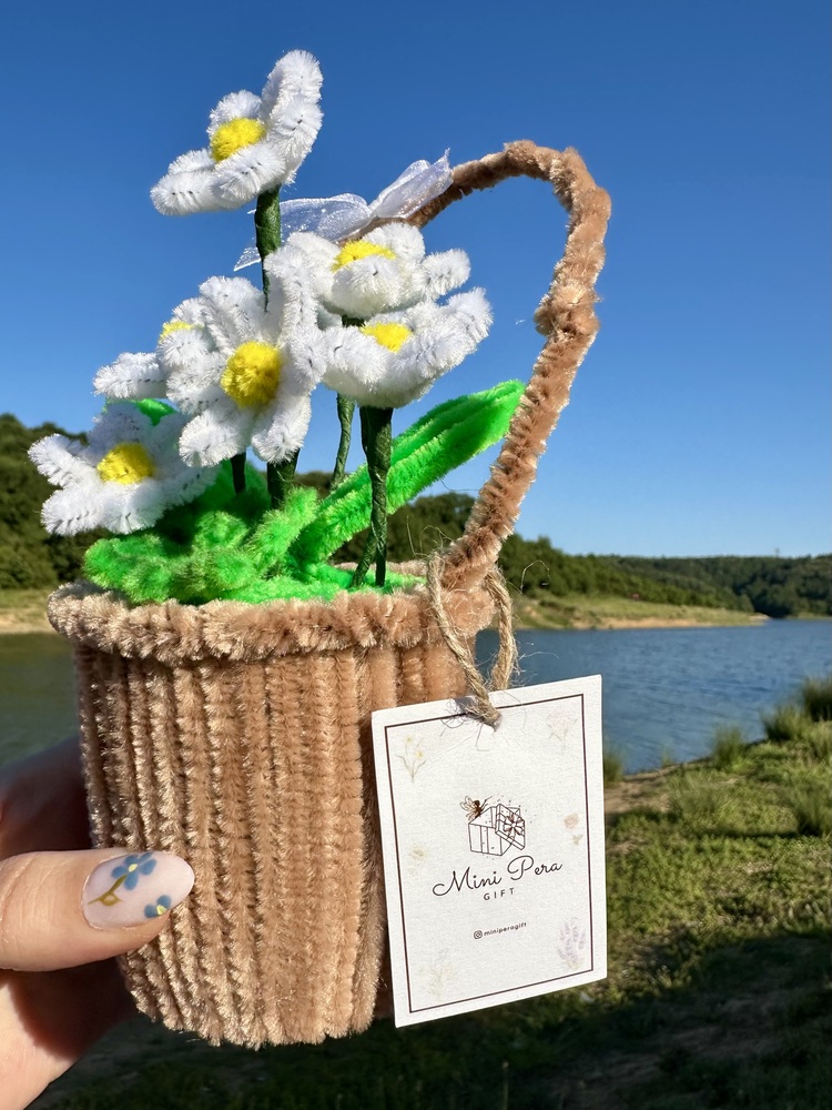 Mini Papatya Sepeti
