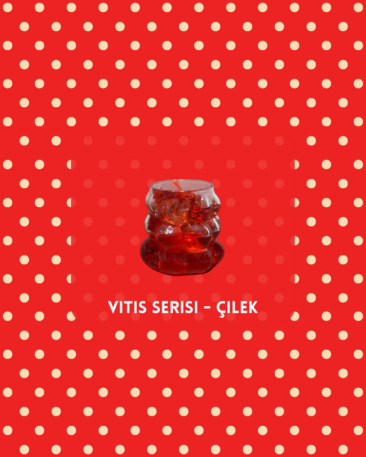 Vitis serisi 4'lü deneme seti (Mini boy)
