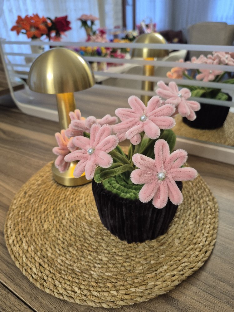 Pudra Saksı Çiçeği
