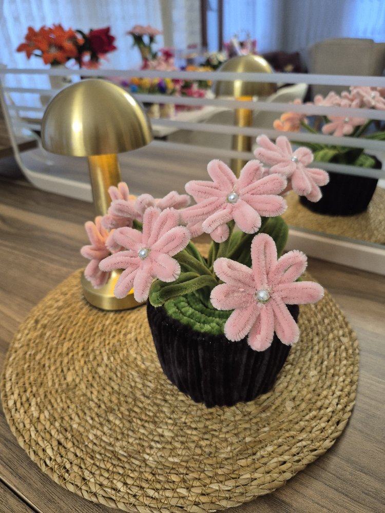 Pudra Saksı Çiçeği