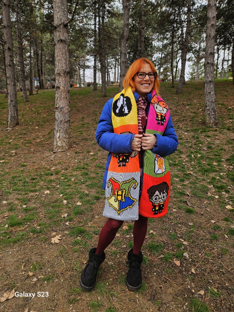 Harry Potter Atkı