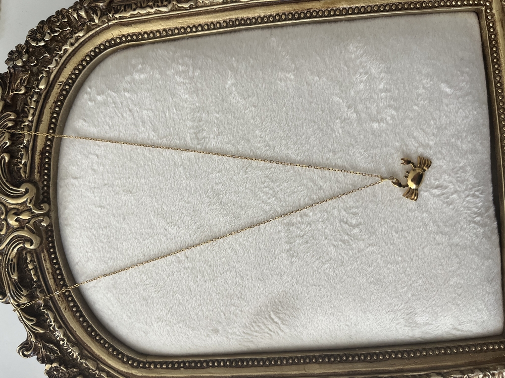 Yengeç Kolye (50+5 cm) | Çelik