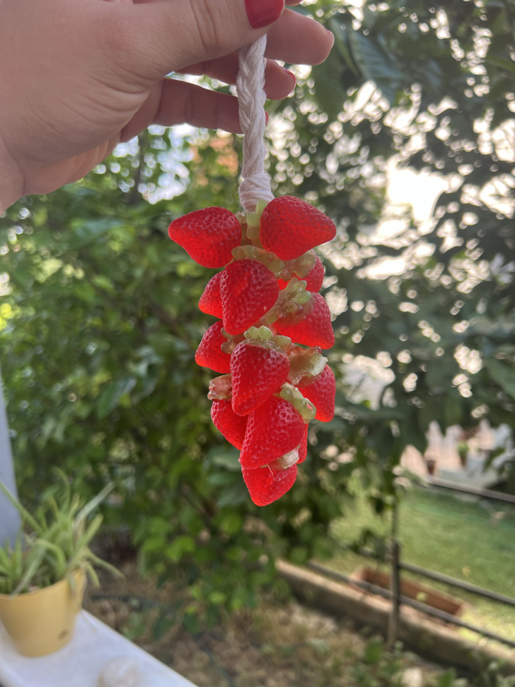 Çilek sabunu