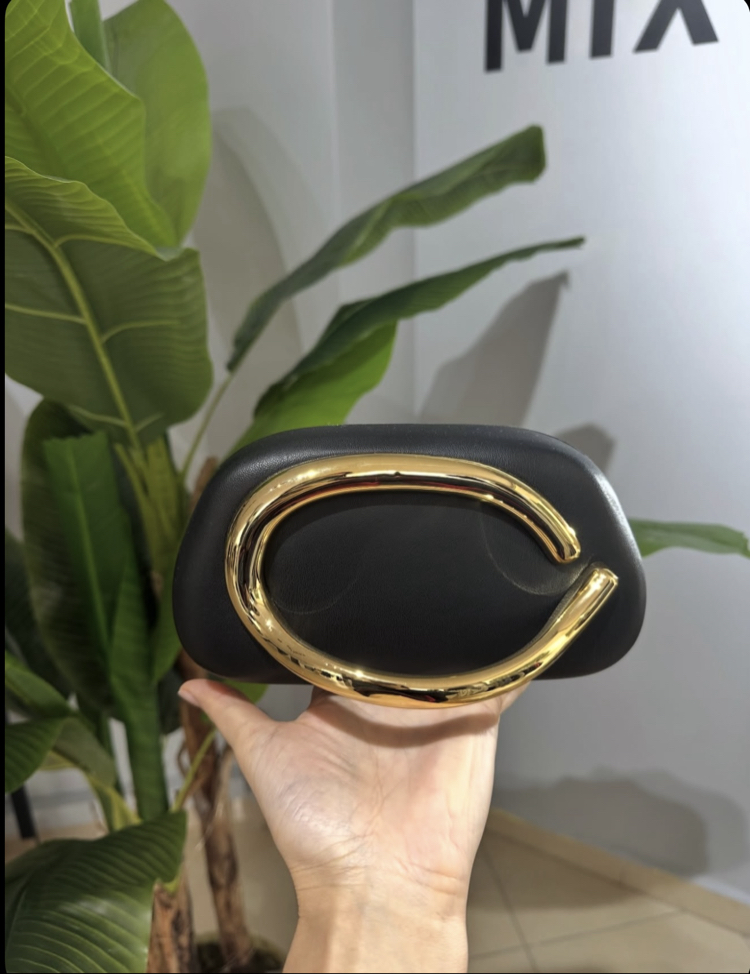 Zara Model Çanta 