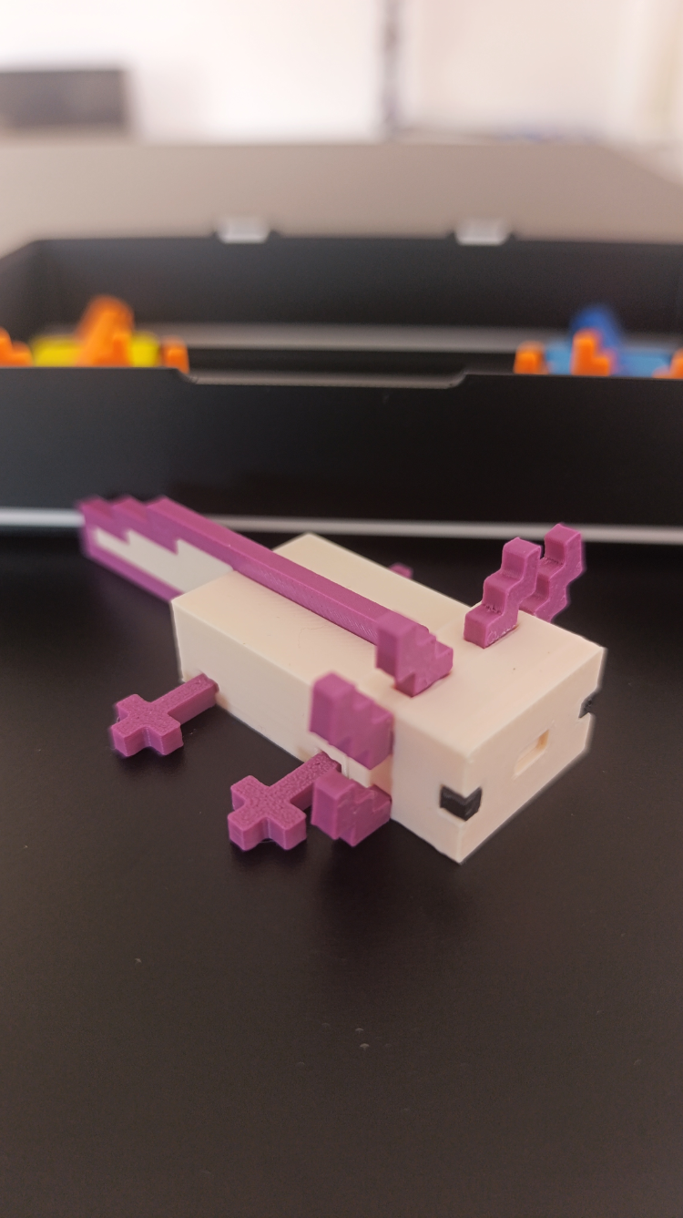 Minecraft Axolotl Seti | Özel Kutulu + Sürpriz Hediyeli