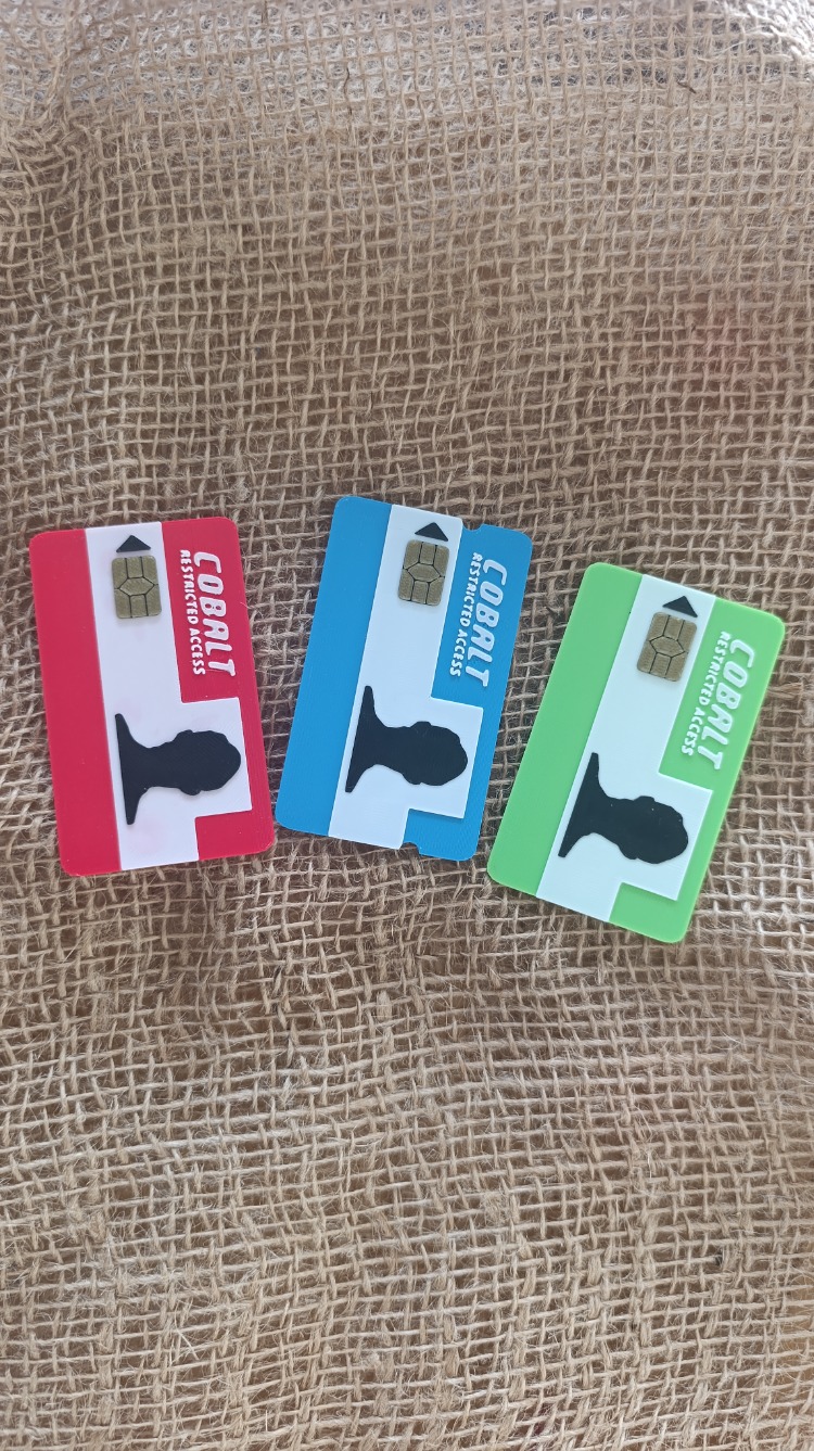 RUST Kartları(Keycards) Seti