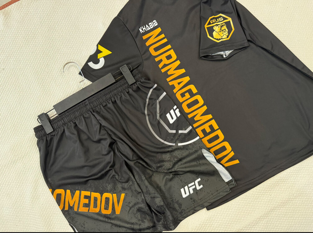 Khabib Nurmagomedov UFC229