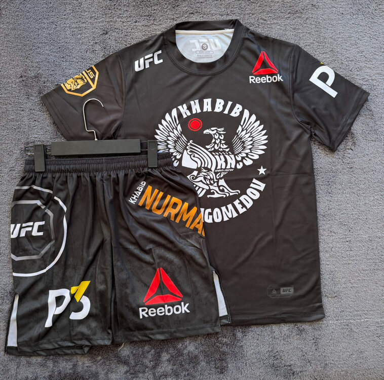 Khabib Nurmagomedov UFC229