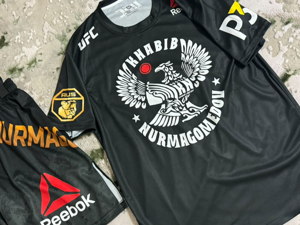 Khabib Nurmagomedov UFC229