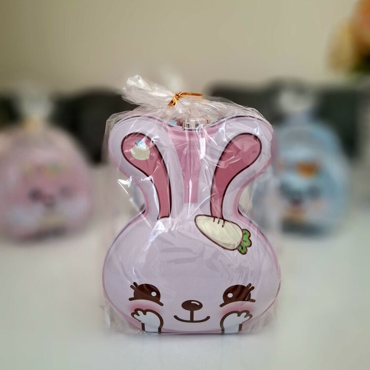 Pembe Tavşan Kumbara. Çocuk Ve Yetişkin İçin Kilitli Kumbara
