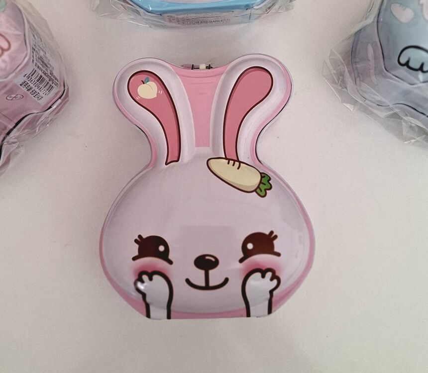 Pembe Tavşan Kumbara. Çocuk Ve Yetişkin İçin Kilitli Kumbara